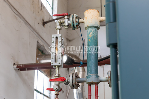 生物质锅炉蒸汽价格是多少钱一吨 ,取暖生物颗粒炉多少钱一个