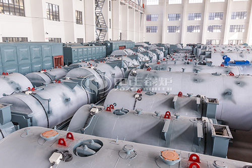 40吨生物质链条炉排蒸汽锅炉价格