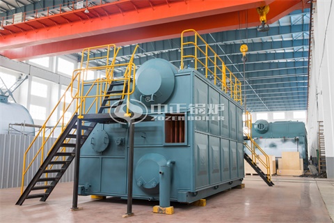 兄弟牌燃油锅炉