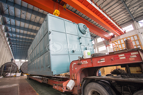 生物质的整体结构和功能