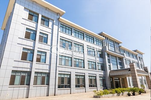 生物质锅炉冒灰的因为什么