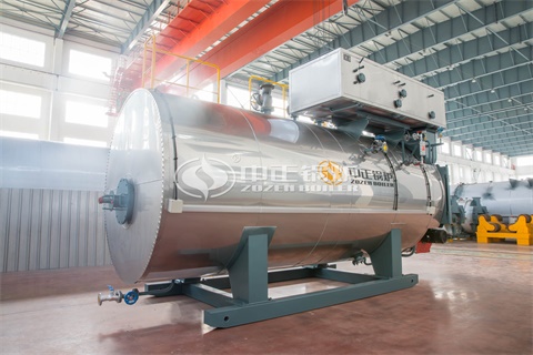 环保查处燃油锅炉